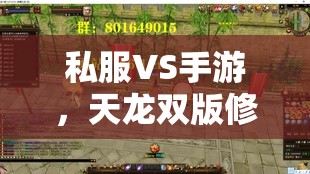 私服VS手游，天龙双版修炼全攻略