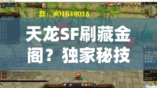 天龙SF刷藏金阁？独家秘技你掌握了吗？