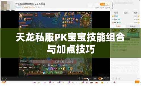 天龙私服PK宝宝技能组合与加点技巧