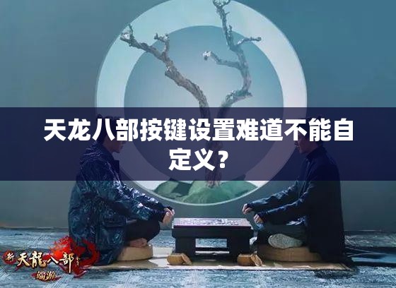 天龙八部按键设置难道不能自定义？