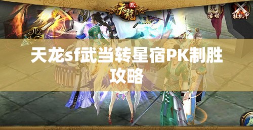 天龙sf武当转星宿PK制胜攻略