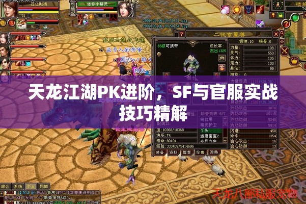 天龙江湖PK进阶，SF与官服实战技巧精解