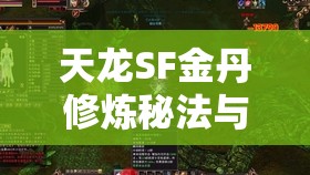 天龙SF金丹修炼秘法与八部技能组合指南